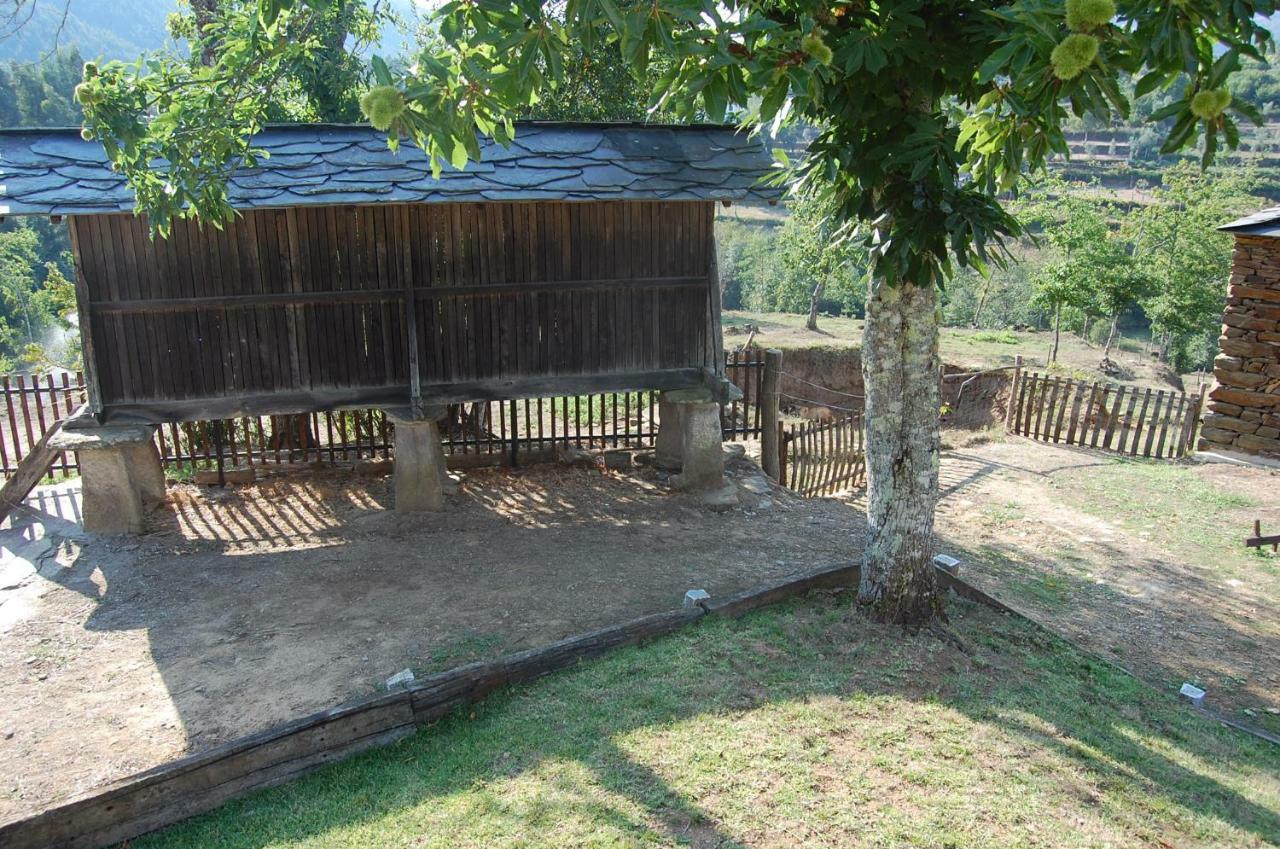 Casa De Campo "Quinta Do Cadafaz" Alvarenga Esterno foto